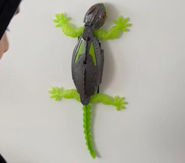 Gecko
